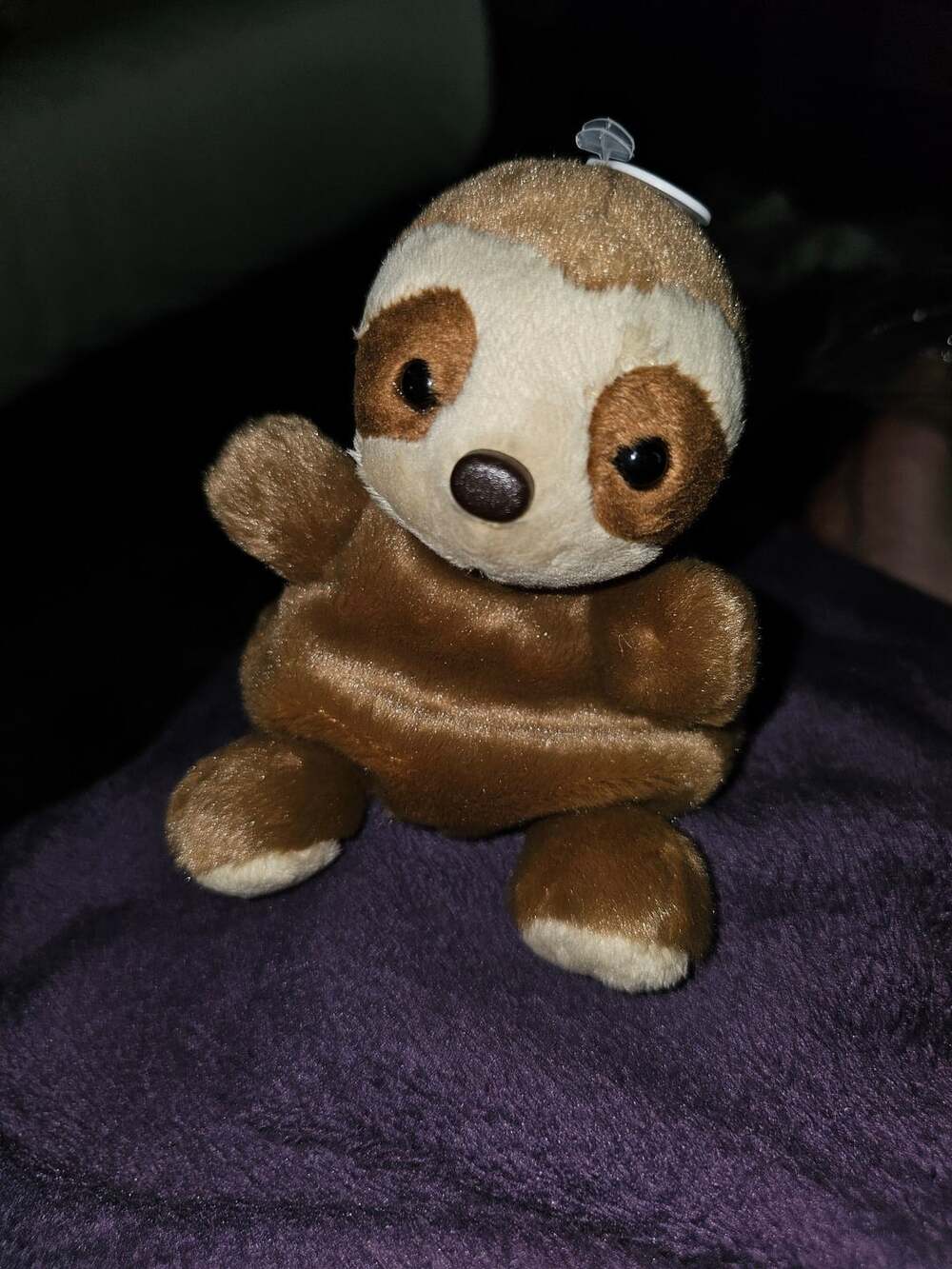 5" Aurora Palm Pals Slomo Sloth Soft Toy Plushie - ,